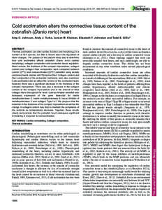 © 2014. Published by The Company of Biologists Ltd | The Journal of Experimental Biology[removed], [removed]doi:[removed]jeb[removed]RESEARCH ARTICLE Cold acclimation alters the connective tissue content of the zebraf