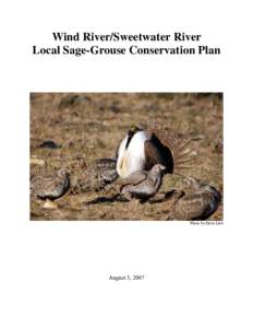 Ornithology / Sage Grouse / Lek / Artemisia tridentata / Galliformes / Sharp-tailed Grouse / Flora of the United States / Grouse / Centrocercus
