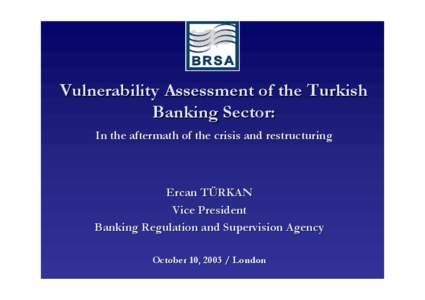 Vulnerability Assessment of the Turkish Banking Sector: In the aftermath of the crisis and restructuring Ercan TÜRKAN Vice President