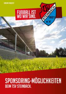 Saison 2016|2017  Sponsoring-möglichkeiten beim TSV Steinbach.  | 2