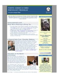 N.A. Bird Phenology Program Newsletter