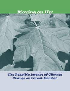 Moving on Up:  Photo courtesy of Paul Wray, Iowa State University, http://www.bugwood.org. The Possible Impact of Climate Change on Forest Habitat