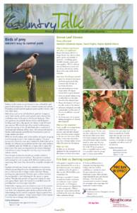 CountryTalk  News for rural residents of Strathcona County Birds of prey