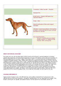 Agriculture / Serbian Tricolour Hound / Serbian Hound / Dog breeds / Breeding / Dog breeding