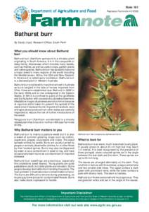 Farmnote 161 : Bathurst burr [WA AGRIC]