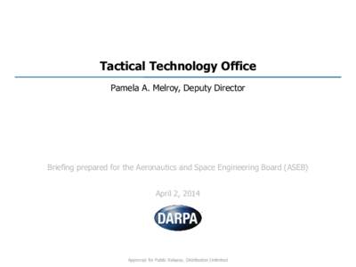 Tactical Technology Office Pamela A. Melroy, Deputy Director Briefing prepared for the Aeronautics and Space Engineering Board (ASEB)  April 2, 2014