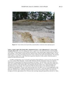 THOMPSON, BALCO, DORION, AND FOWLER  Figure 14. Foreset beds in the Carroll Delta, unconformably overlain by fluvial sand and gravel. STOP 6. POND CORE STRATIGRAPHY, SEDIMENTOLOGY, AND CHRONOLOGY (Cherry Pond viewpoint, 