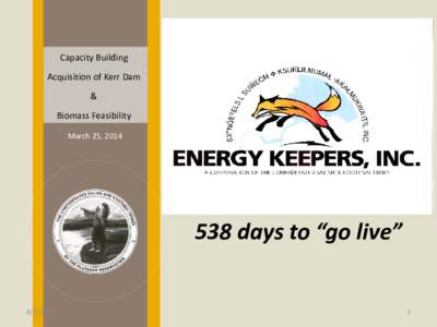 Energy Keepers, Inc. A Corporation of the Confederated Salish and Kootenai Tribes: Capacity Building Acquisition of Kerr Dam and Biomass Feasibility