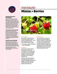 Cree EduKit  Mînisa > Berries Importance of berries to the Cree people Mînisa is the Cree word for ‘berries.’