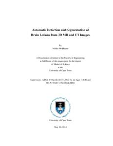 Automatic Detection and Segmentation of Brain Lesions from 3D MR and CT Images By Molise Mokhomo