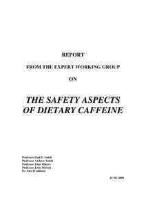 REPORT FROM THE EXPERT WORKING GROUP ON  THE SAFETY ASPECTS