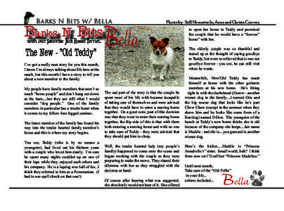 Bella  Barks N Bits w/ Bella Barks N Bits with our favorite Jack Russel Terrier...