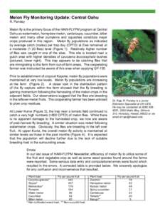 Melon Fly Monitoring Update: Central Oahu R. Pandey Melon fly is the primary focus of the HAW-FLYPM program at Central Oahu as watermelon, honeydew melon, cantaloupe, cucumber, bitter melon and many other pumpkins and sq