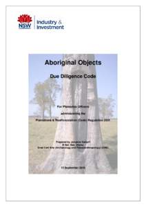 Due Diligence Code of Practice for the Protection of Aboriginal Objects in New South Wales