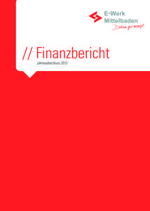 // Finanzbericht Jahresabschluss 2012