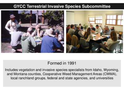 GYCC Terrestrial Invasive Species Subcommittee  Formed in 1991 Includes vegetation and invasive species specialists from Idaho, Wyoming, and Montana counties, Cooperative Weed Management Areas (CWMA), local ranchland gro