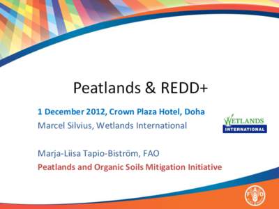 1 December 2012, Crown Plaza Hotel, Doha Marcel Silvius, Wetlands International Marja-Liisa Tapio-Biström, FAO Peatlands and Organic Soils Mitigation Initiative