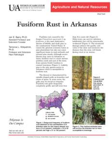 DIVISION OF AGRICULTURE RESEARCH & EXTENSION Agriculture and Natural Resources  University of Arkansas System