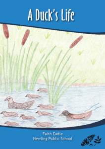 A Duck’s Life Author: Faith Eadie Teacher: Kate Prosser School: Newling Public School  The Cotton Catchment Communities CRC 2010 “Fur & Fins, Feet & Beaks...What