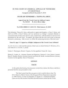 IN THE COURT OF CRIMINAL APPEALS OF TENNESSEE AT KNOXVILLE Assigned on Briefs December 9, 2014 STATE OF TENNESSEE v. TIANNA M. AMYX Appeal from the Circuit Court for Sullivan County No. S61343