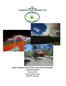 2014 NEW MEXICO COMMUNITIES AT RISK ASSESSMENT PLAN ENERGY, MINERALS AND NATURAL RESOURCES DEPARTMENT FORESTRY DIVISION