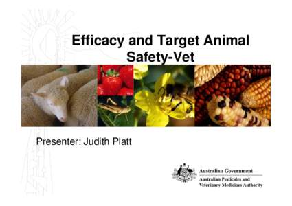 Efficacy and Target Animal Safety-Vet Presenter: Judith Platt  Efficacy and TAS Requirements