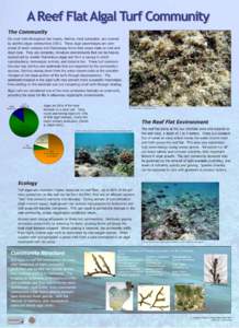 Rhodomelaceae / Biological oceanography / Aquatic ecology / Photosynthesis / Environmental chemistry / Coral reef / Algae / Eutrophication / Acanthophora spicifera / Grazing pressure / Cyanobacteria / Brown algae