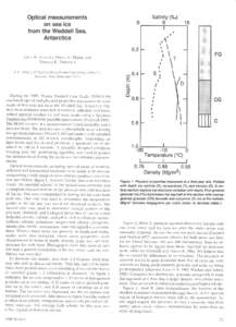 Optical measurements on sea ice from the Weddell Sea, Antarctica