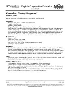 Cornelian Cherry Dogwood Cornus mas Alex X. Niemiera, Associate Professor, Department of Horticulture Summary: Foliage: Oval, about 3 inches long; deciduous Height: About 20 feet