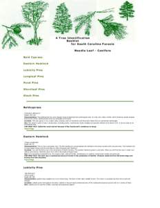 A Tree Identification Booklet