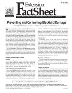 Preventing and Controlling Blackbird Damage