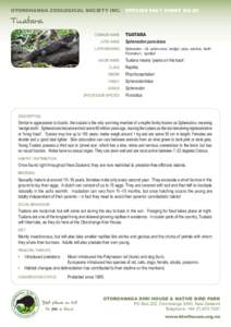 OTOROHANGA ZOOLOGICAL SOCIETY INC.	 SPECIES FACT SHEET NO.20  Tuatara 