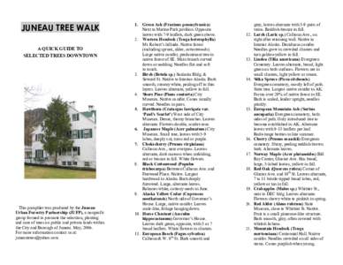 JUNEAU TREE WALK A QUICK GUIDE TO SELECTED TREES DOWNTOWN This pamphlet was produced by the Juneau Urban Forestry Partnership (JUFP), a nonprofit