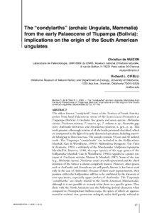 The “condylarths” (archaic Ungulata, Mammalia) from the early Palaeocene of Tiupampa (Bolivia): implications on the origin of the South American