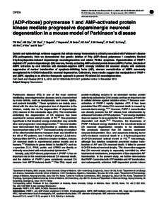 (ADP-ribose) polymerase 1 and AMP-activated protein kinase mediate progressive dopaminergic neuronal degeneration in a mouse model of Parkinson&rsquo;s disease