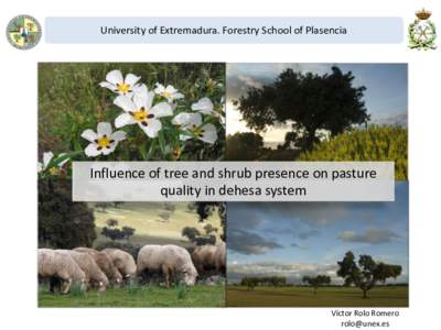 University of Extremadura. Forestry School of Plasencia  Influence of tree and shrub presence on pasture quality in dehesa system  Víctor Rolo Romero