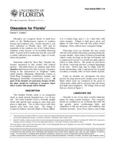 Fact Sheet ENH-116  Oleanders for Florida1 Daniel F. Culbert2 Oleanders are evergreen shrubs or small trees native to the Mediterranean regions of southern