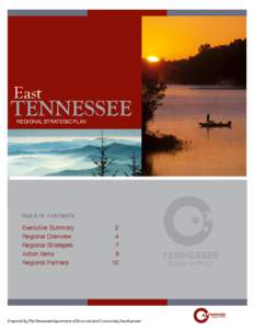 Knoxville metropolitan area / Tennessee River / Knoxville /  Tennessee / Tennessee Valley / Roane State Community College / Pellissippi State Community College / McGhee Tyson Airport / Charles McClung McGhee / East Tennessee Clean Fuels Coalition / Tennessee / Geography of the United States / State of Franklin