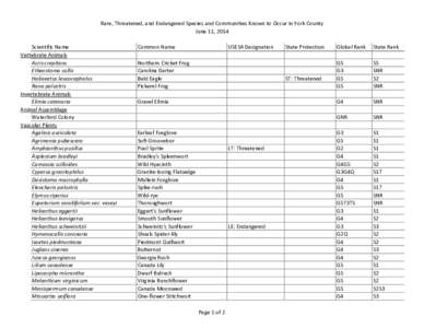 Rare, Threatened, and Endangered Species and Communities Known to Occur in York County June 11, 2014 Scientific Name Vertebrate Animals Acris crepitans Etheostoma collis