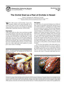 The orchid snail as a pest of orchids in Hawaii