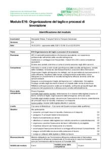 Modulo E16: Organizzazione del taglio e processi di lavorazione Identificazione del modulo Incaricato/i  Hanspeter Weber, François Fahrni e François Sandmeier