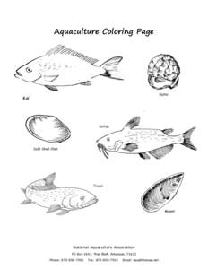 Aquaculture Coloring Page  Koi National Aquaculture Association PO Box 1647, Pine Bluff, Arkansas, 71613