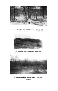 B. Oak-hickory forest in Oklaboma, station 1, April, 1928  A. Oak-hickory forest in M i r i . a r l y autumn, 1926 C. CkL-hickory forat in Oklahoma, station 4, April, 1928