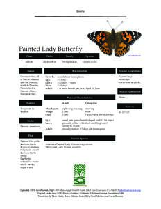 Insecta  Painted Lady Butterfly Class  Order