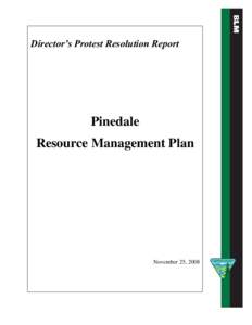 Director’s Protest Resolution Report  Pinedale Resource Management Plan  November 25, 2008