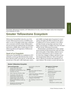 Greater Yellowstone Ecosystem Yellowstone National Park forms the core of the Greater Yellowstone Ecosystem. At 28,000 square miles, it is one of the largest nearly intact temperatezone ecosystems on Earth. Greater Yello