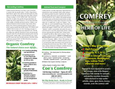 Harvesting Comfrey Comfrey should be harvested 3 to 8 times a year. Cut for feed or compost when top growth reaches 12 inches. Always harvest before flowers appear as the nutrient value falls rapidly once they appear. Yo