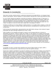 Después la inundación  Spanish translation of 