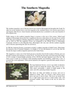 The Southern Magnolia  The southern magnolia is one of the best known trees found in Mississippi and throughout the South. No other tree in the southern forest excels the magnolia in the combined beauty of its lustrous g