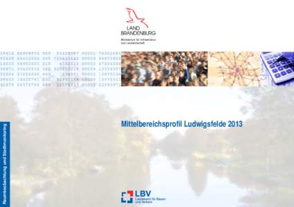Raumbeobachtung und Stadtmonitoring  Mittelbereichsprofil Ludwigsfelde 2013 I.